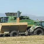 Navarro1